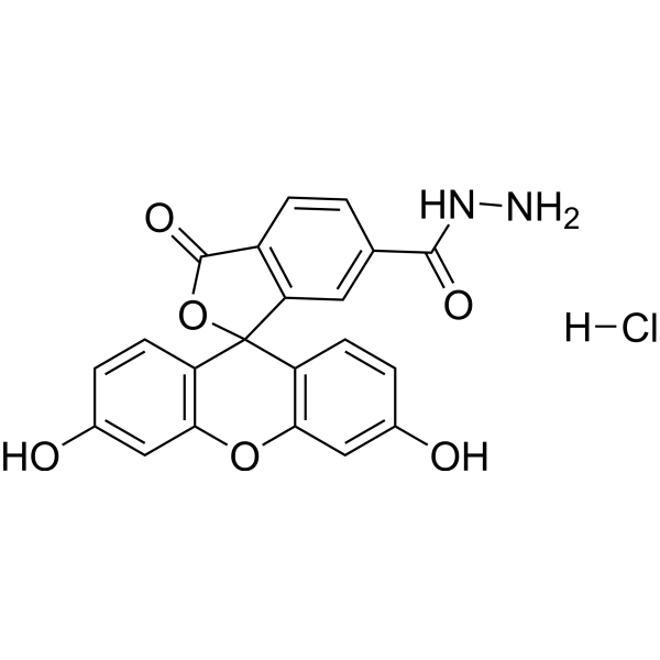 FAM hydrazide, 6-isomer hydrochloride 2183440-65-3